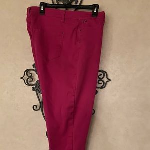 CURVE Appeal Women pants